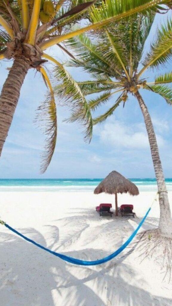 island view with a hammock and trees